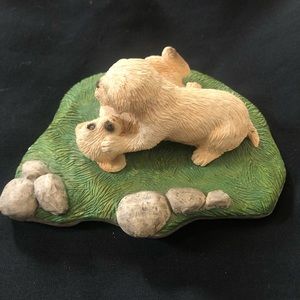 Sandicast Golden Retriever Pups